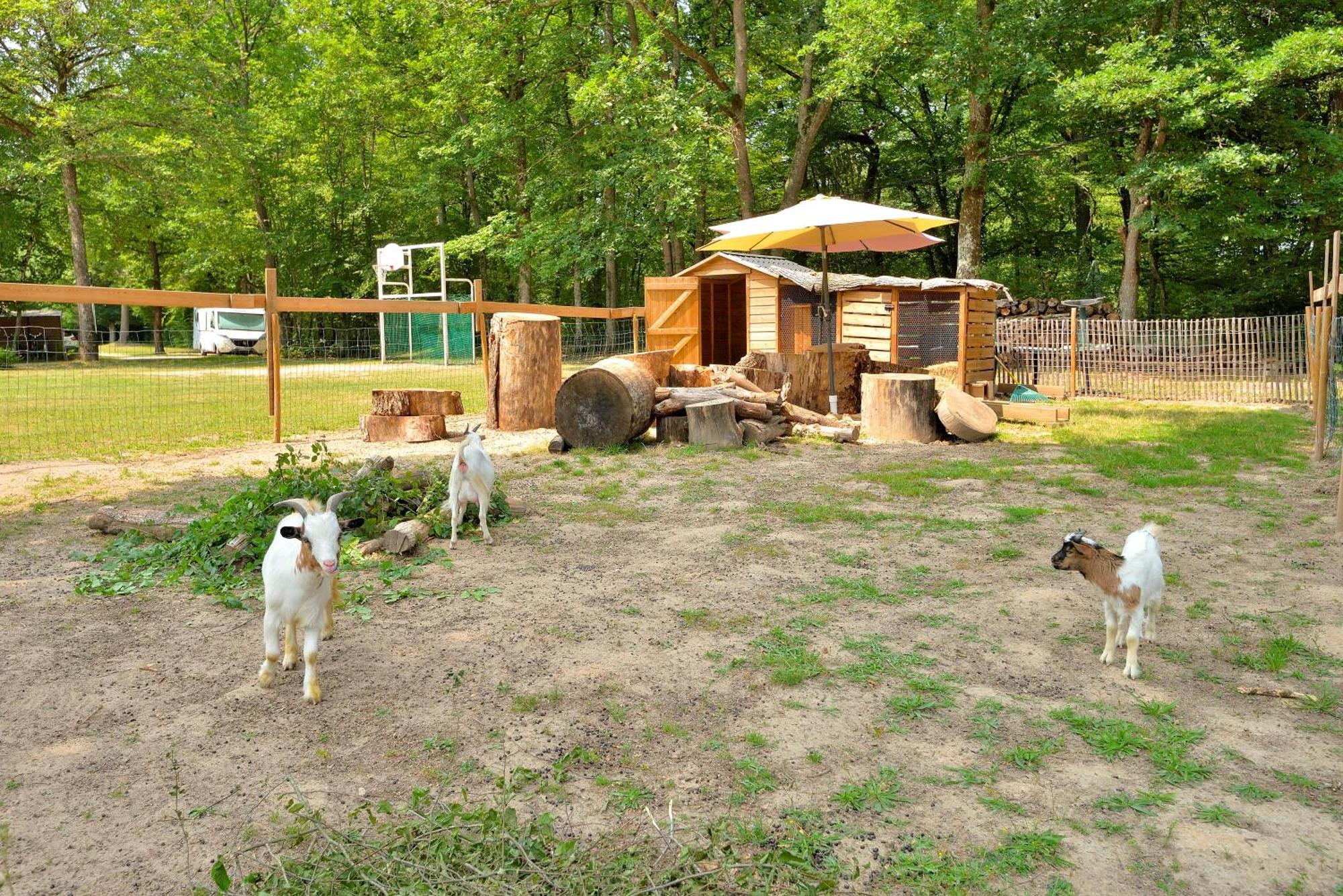 Camping Etang de la Vallée Combreux Extérieur photo